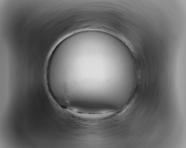 X0000093521530200711091730