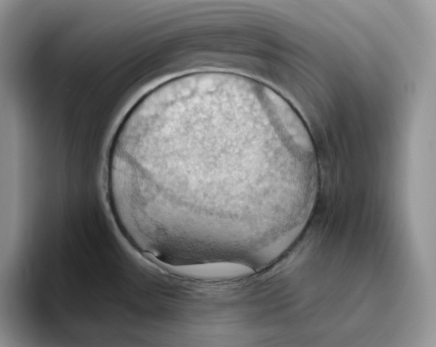 X0000093521531200711091730