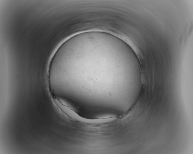 X0000093521532200711091730