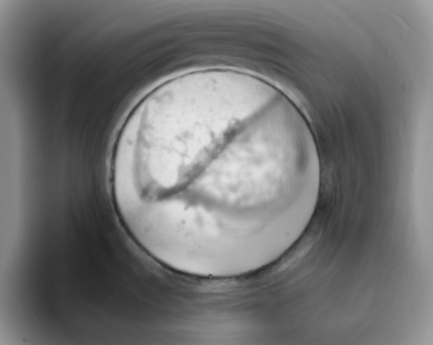 X0000093521535200711091730