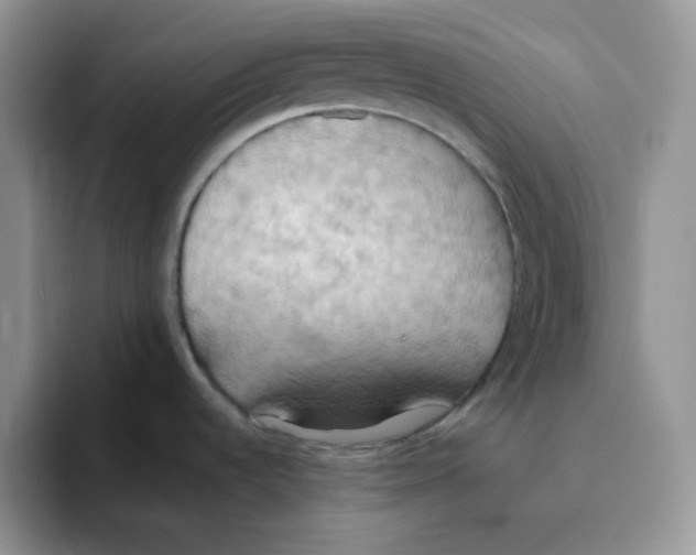 X0000093521536200711091730