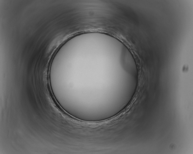 X0000093530002200710121159