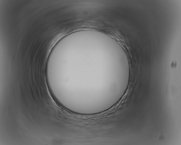 X0000093530003200710121159