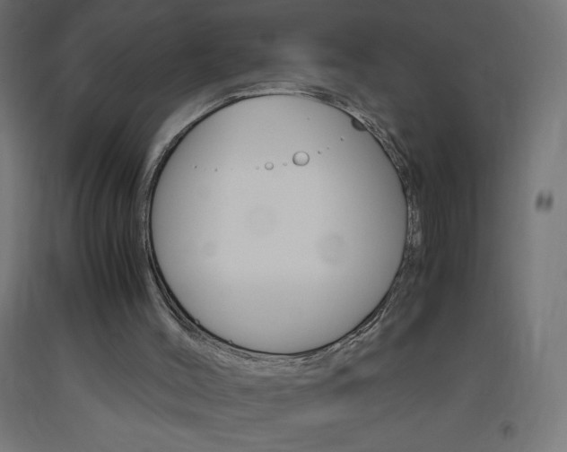 X0000093530004200710121159