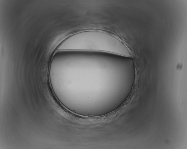 X0000093530005200710121159