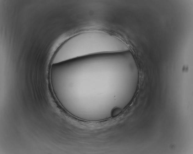 X0000093530006200710121159