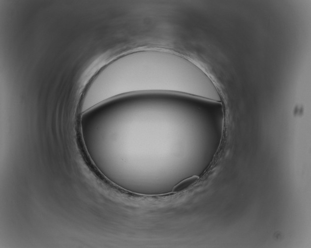 X0000093530007200710121159