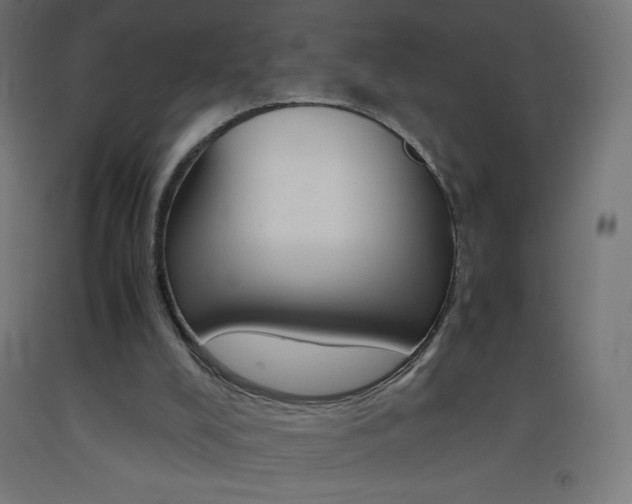 X0000093530008200710121159
