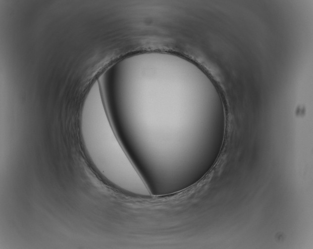 X0000093530009200710121159