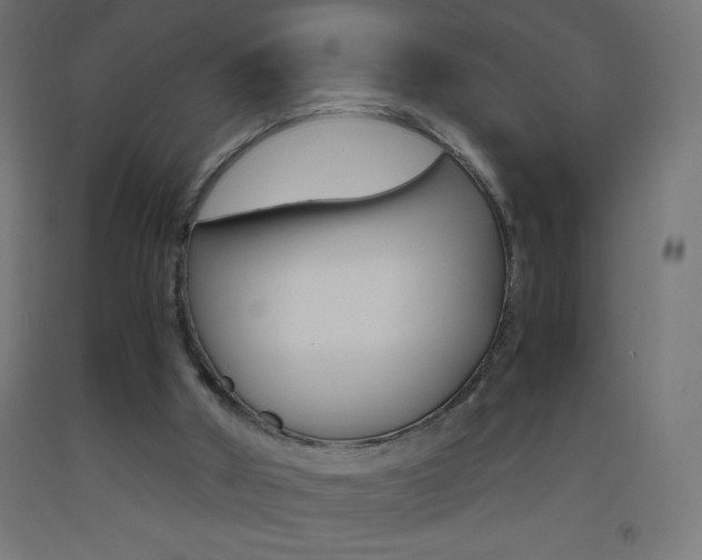 X0000093530010200710121159