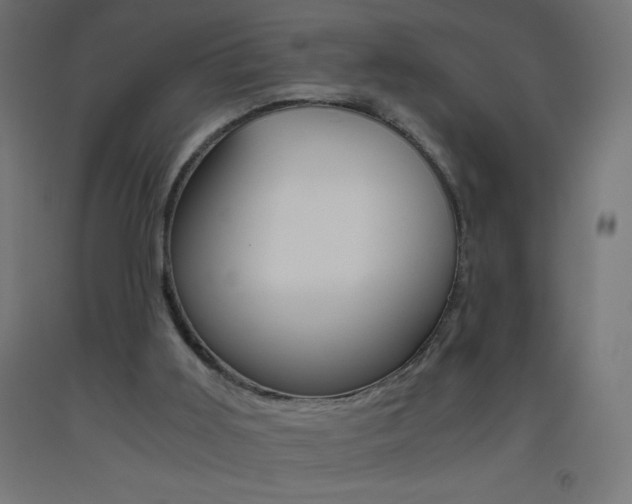 X0000093530011200710121159