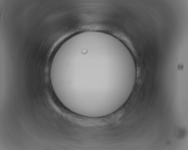 X0000093530012200710121159