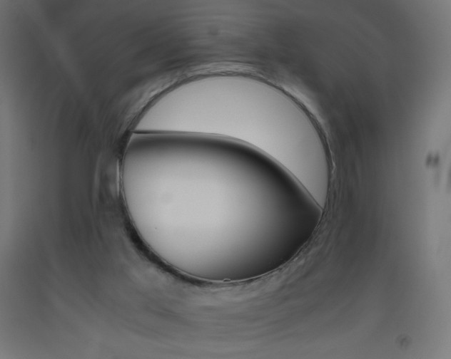 X0000093530013200710121159