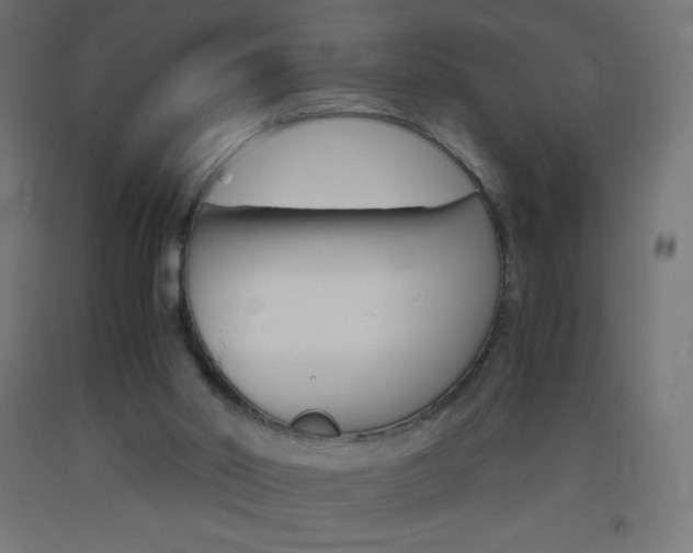 X0000093530014200710121159