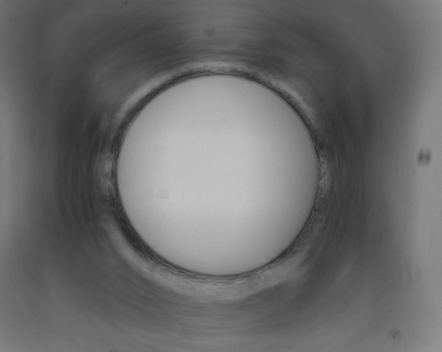 X0000093530016200710121159