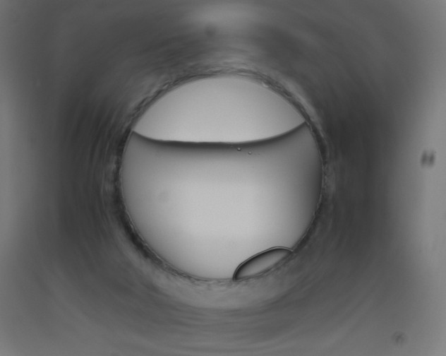 X0000093530018200710121159
