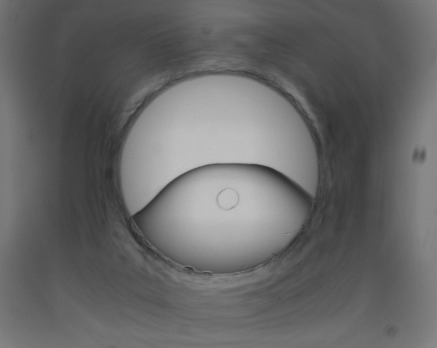 X0000093530019200710121159