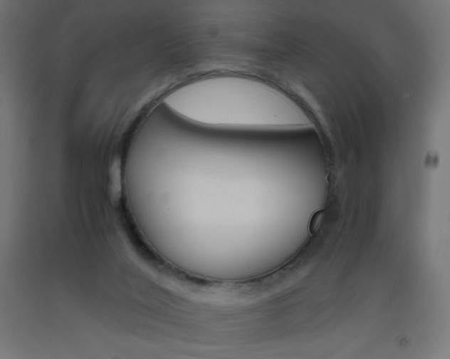 X0000093530020200710121159