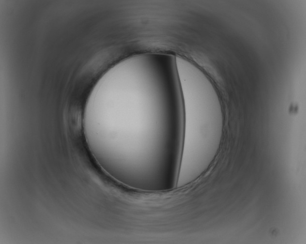 X0000093530021200710121159