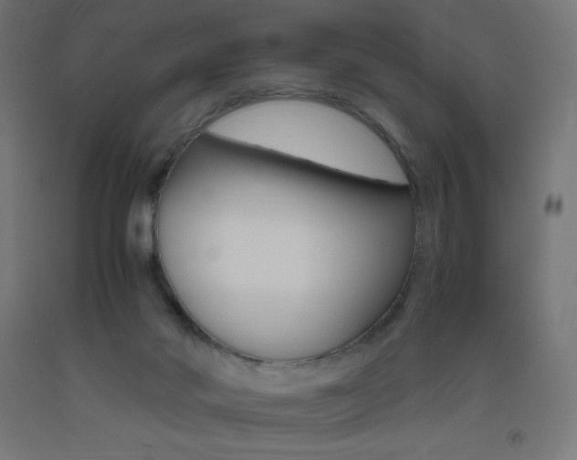 X0000093530022200710121159