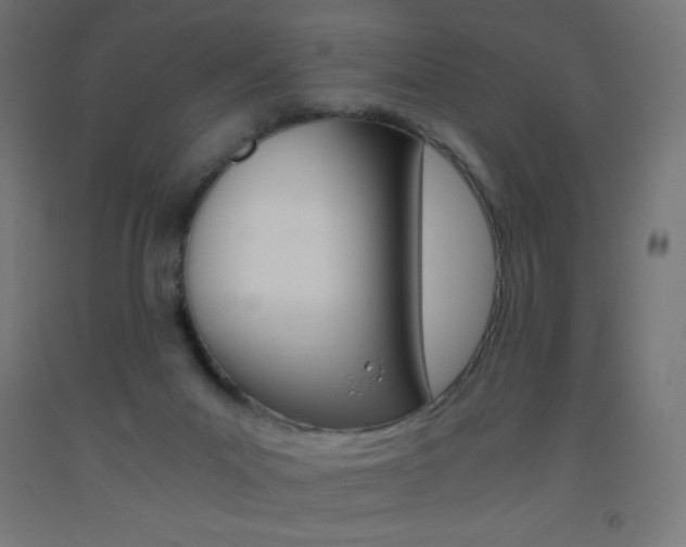 X0000093530023200710121159