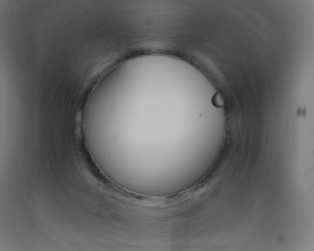 X0000093530024200710121159