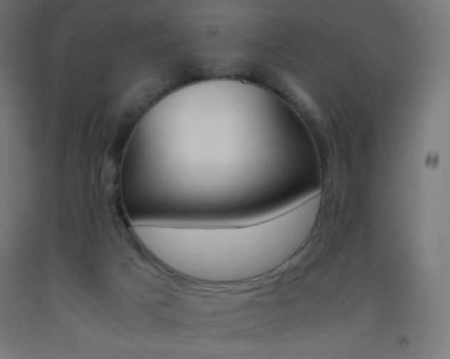 X0000093530025200710121159