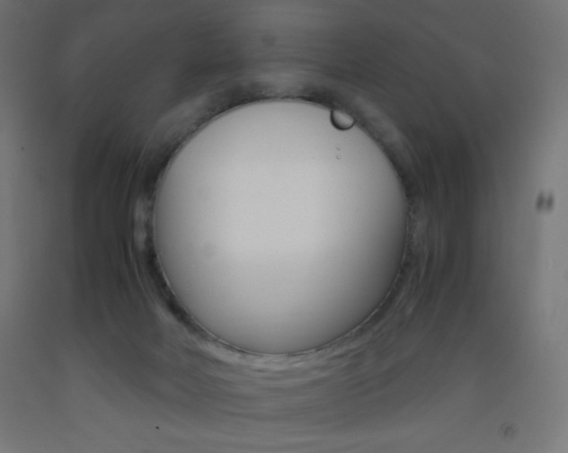X0000093530026200710121159