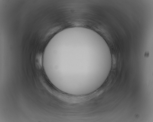X0000093530028200710121159