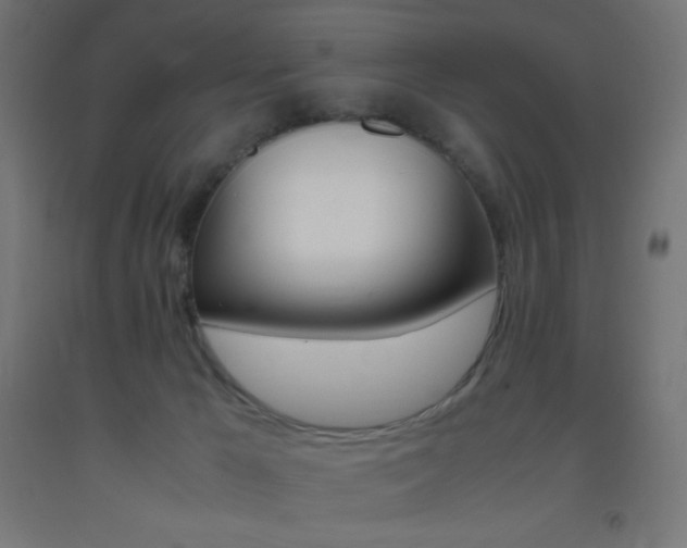 X0000093530029200710121159