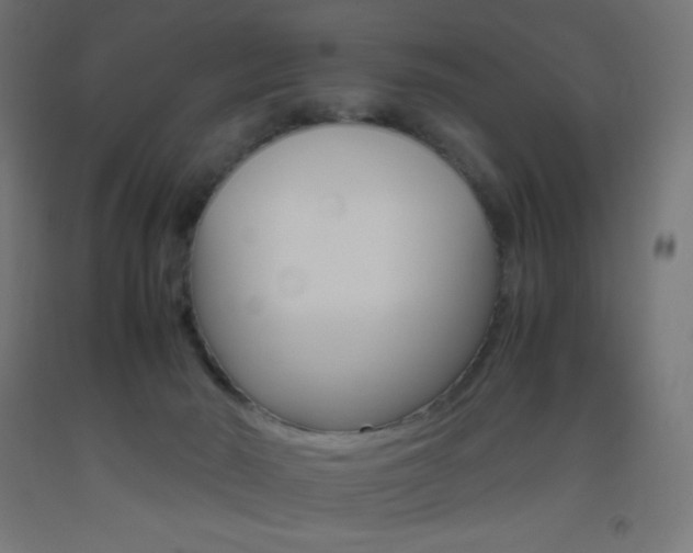 X0000093530030200710121159