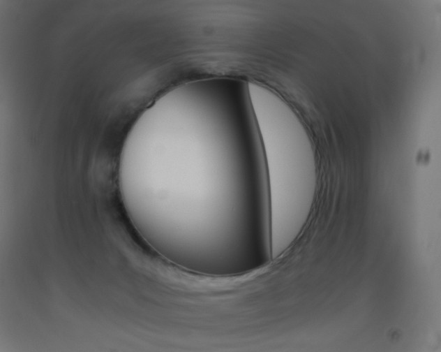 X0000093530031200710121159