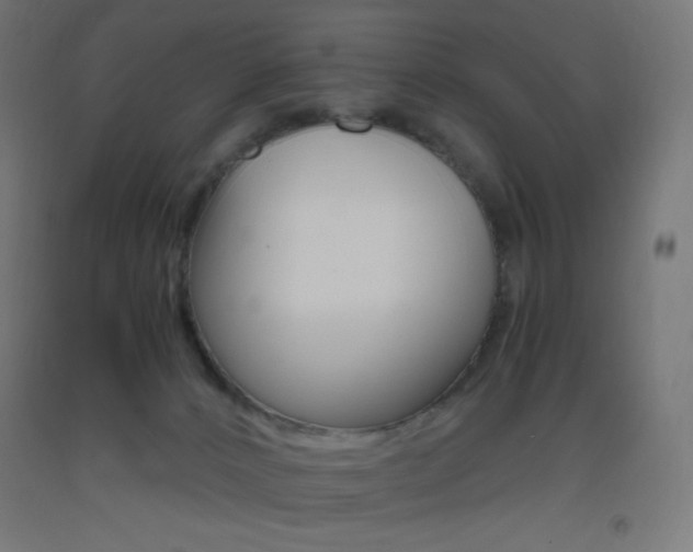 X0000093530032200710121159