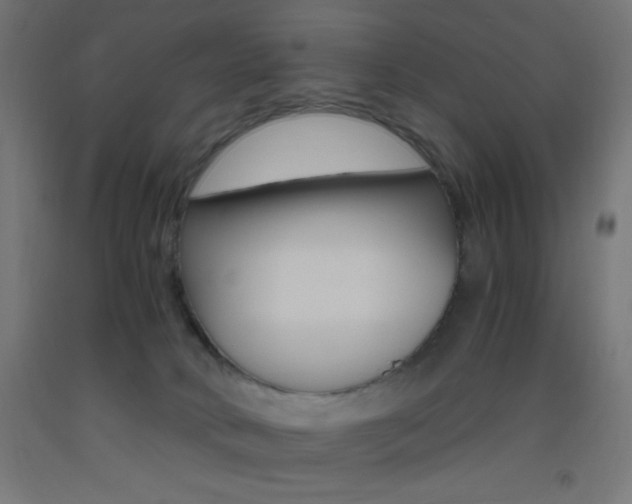 X0000093530034200710121159