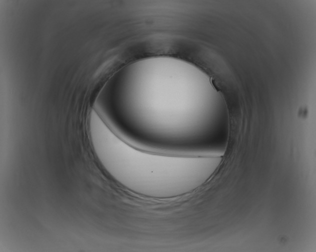 X0000093530035200710121159