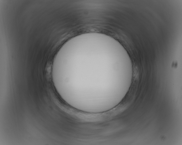 X0000093530036200710121159