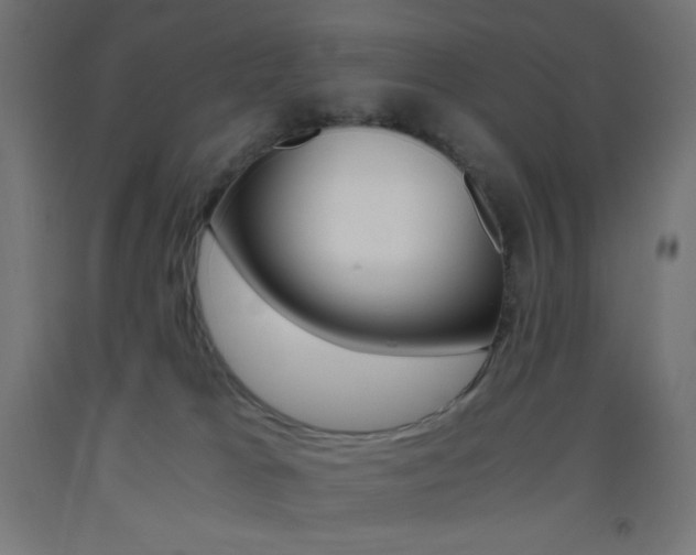X0000093530037200710121159