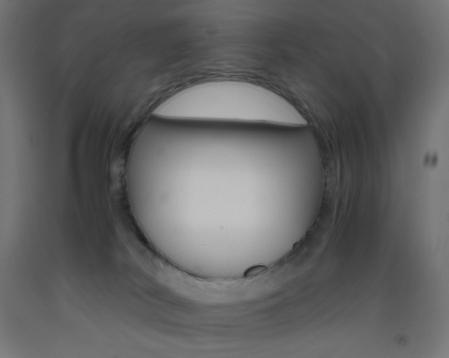 X0000093530038200710121158