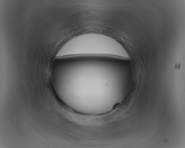 X0000093530040200710121158