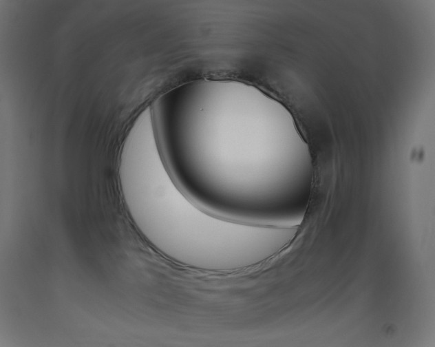 X0000093530041200710121158