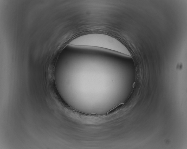 X0000093530044200710121158