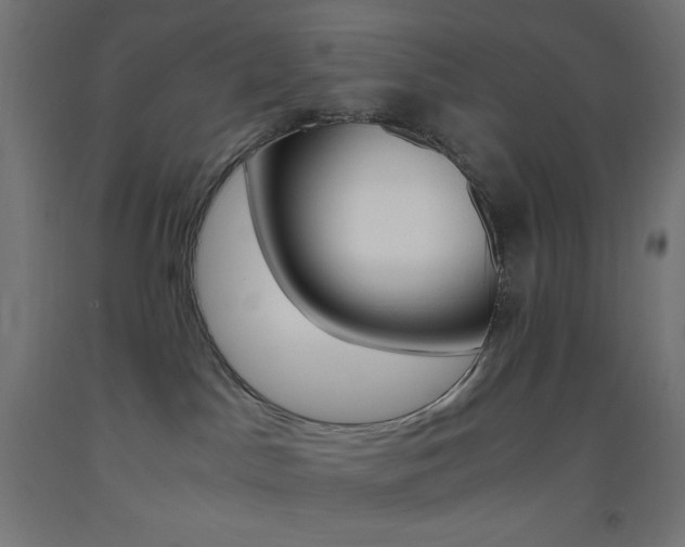 X0000093530045200710121158
