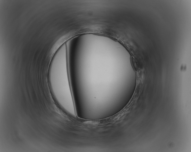 X0000093530051200710121158