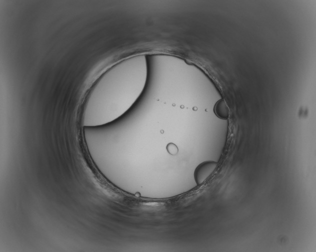 X0000093530053200710121158