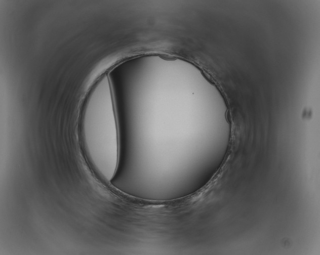 X0000093530054200710121158