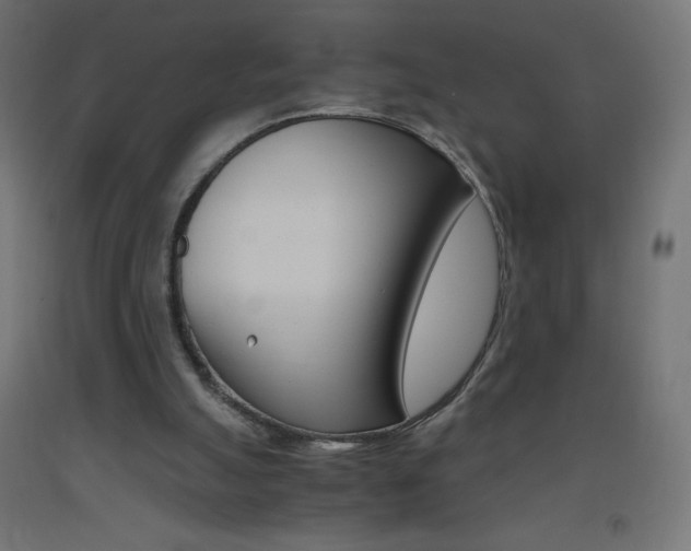 X0000093530055200710121158