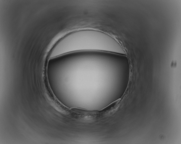 X0000093530056200710121158