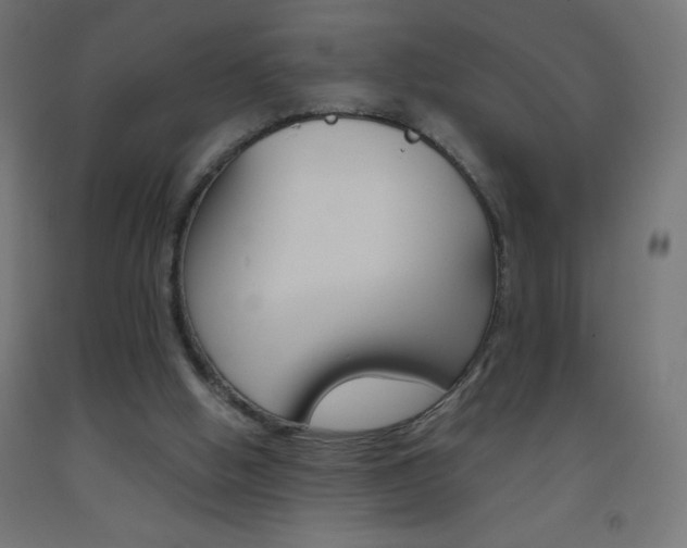 X0000093530058200710121158