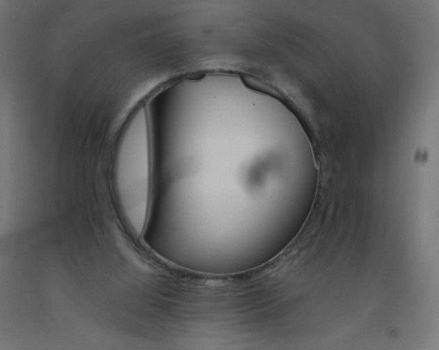X0000093530060200710121158