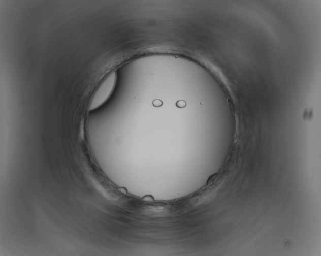 X0000093530061200710121158